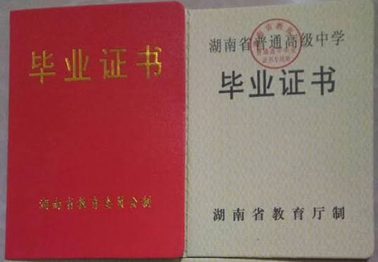 证件案例